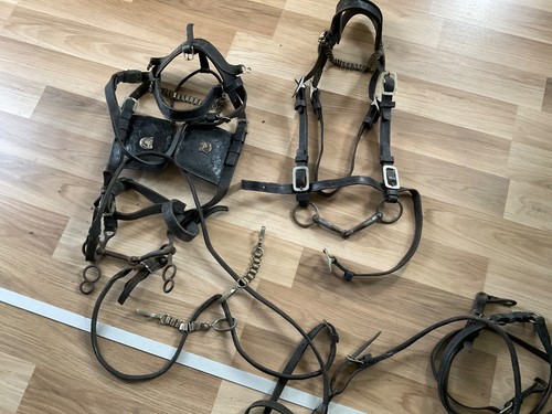 Antikes altes pferdegeschirr - altes,